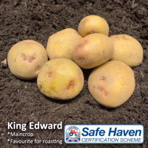 King Edward seed potatoes - 10 tubers or 2kg nets